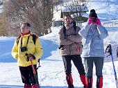 SALITA DA PIAZZATORRE AL RIFUGIO GREMEI CON PROSEGUIMENTO AL TORCOLA VAGA E TORCOLA SOLIVA domenica 7 febbraio 2010 - FOTOGALLERY